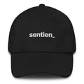 Low Profile Cap