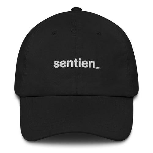Low Profile Cap